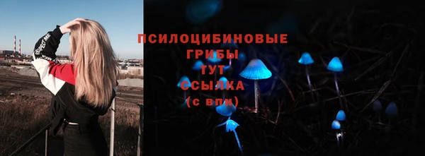 амфетамин Алексеевка