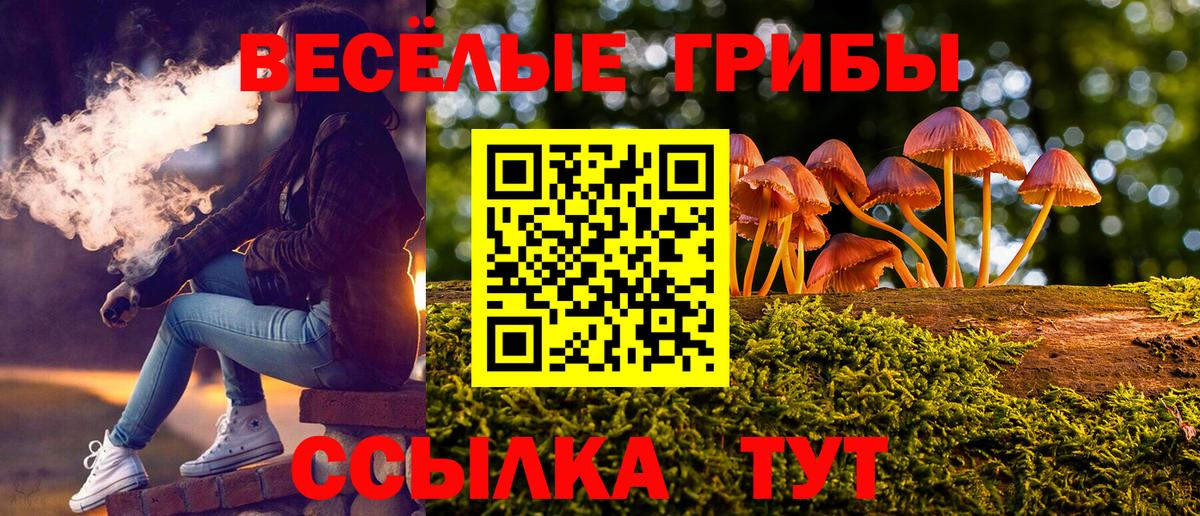 Псилоцибиновые грибы MAGIC MUSHROOMS  Вход с VPN  Кондопога  Галлюциногенные грибы Magic Shrooms 