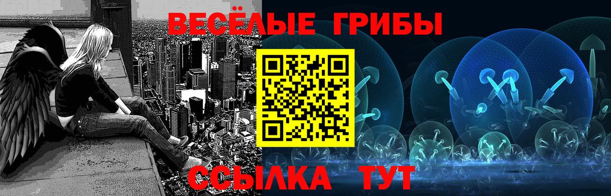 Галлюциногенные грибы Cubensis Кондопога
